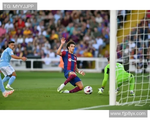 坎塞洛：从边缘球员到足球场上的璀璨明星之路与成长故事