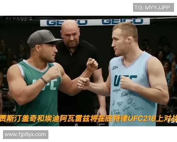 UFC盖奇对决小鹰精彩直播全程回顾与赛后分析